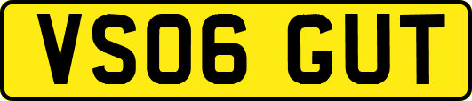 VS06GUT