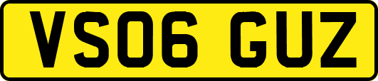 VS06GUZ