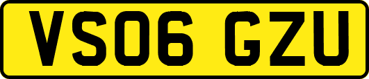 VS06GZU