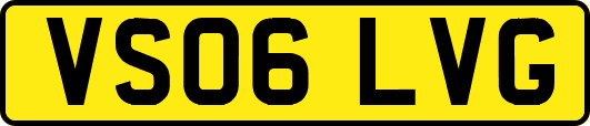 VS06LVG