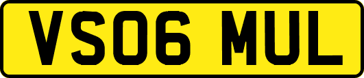 VS06MUL