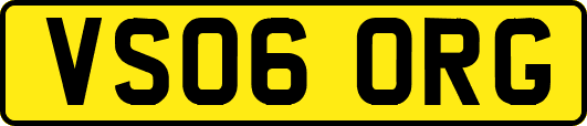 VS06ORG
