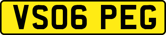 VS06PEG