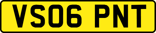 VS06PNT