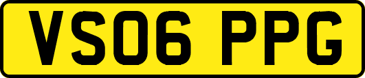 VS06PPG