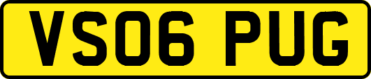 VS06PUG