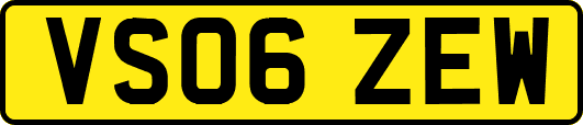 VS06ZEW