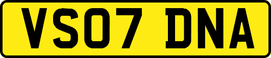 VS07DNA