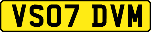 VS07DVM