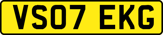 VS07EKG