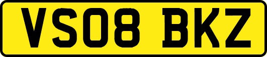 VS08BKZ