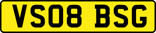 VS08BSG