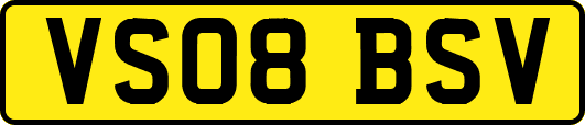 VS08BSV