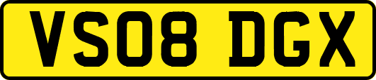 VS08DGX