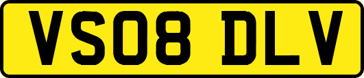 VS08DLV