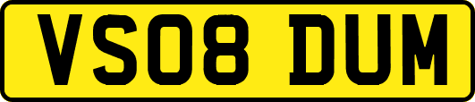 VS08DUM