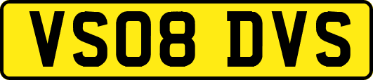 VS08DVS