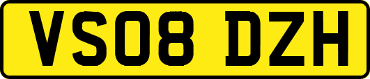 VS08DZH