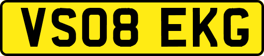 VS08EKG