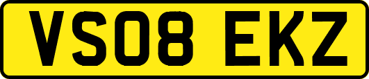 VS08EKZ