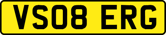 VS08ERG