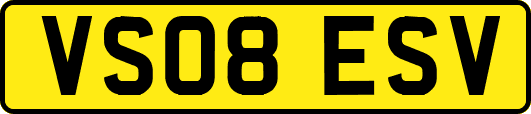 VS08ESV