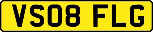 VS08FLG