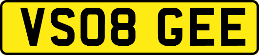 VS08GEE