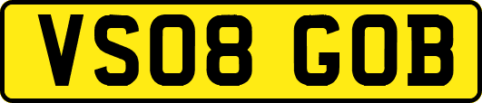VS08GOB