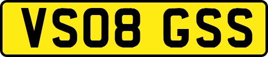 VS08GSS