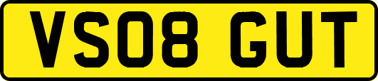 VS08GUT
