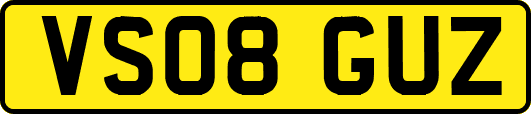 VS08GUZ