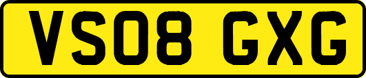 VS08GXG
