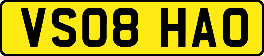 VS08HAO