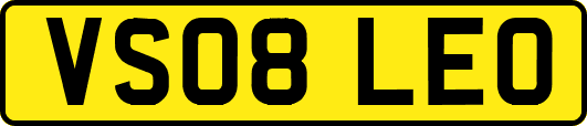 VS08LEO