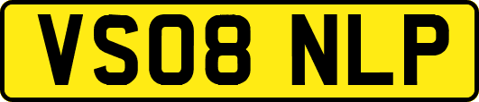 VS08NLP