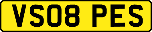 VS08PES