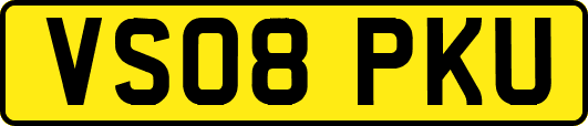 VS08PKU
