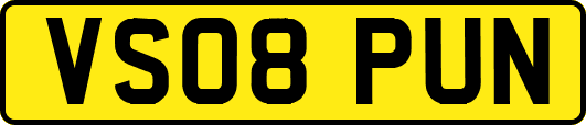 VS08PUN