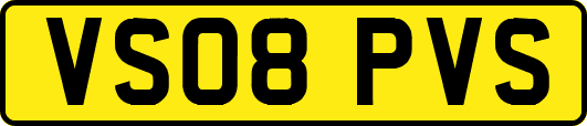 VS08PVS