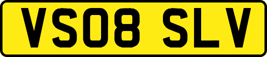 VS08SLV