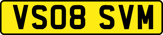 VS08SVM
