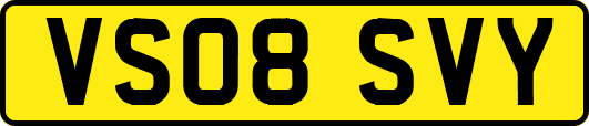 VS08SVY