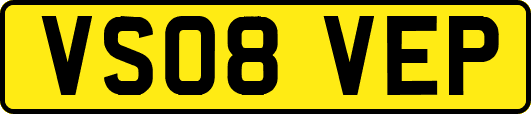 VS08VEP