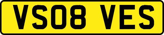 VS08VES