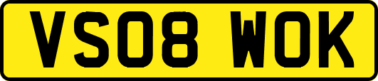 VS08WOK