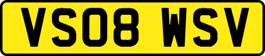 VS08WSV