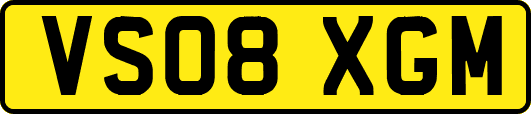 VS08XGM