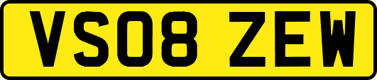 VS08ZEW