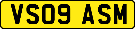 VS09ASM